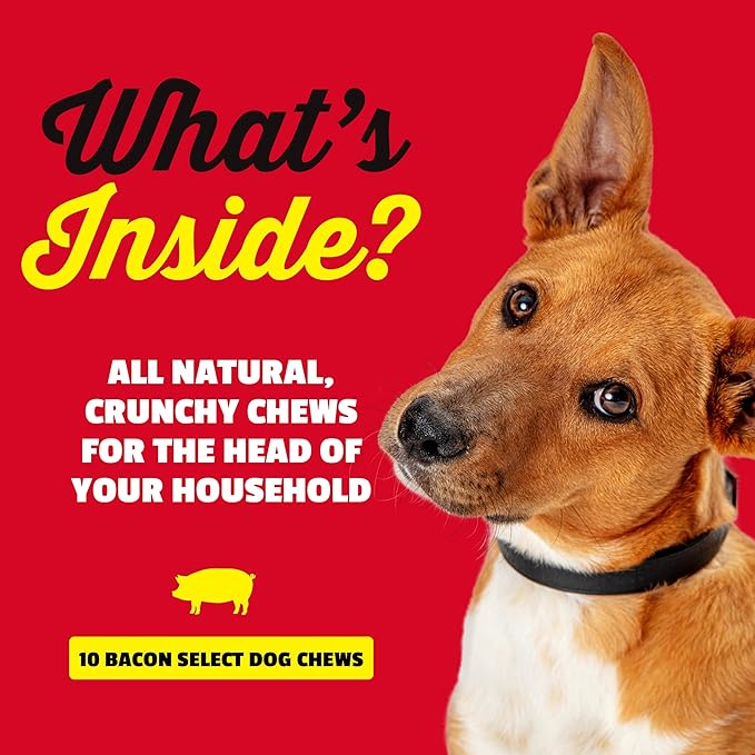 etta says! 7" Select Crunchy Dog Chews - Rawhide-Free Dog Treats - Made in The USA - Odor-Free, All-Natural Ingredients - for Moderate Chewers - Bacon - 10 Pack