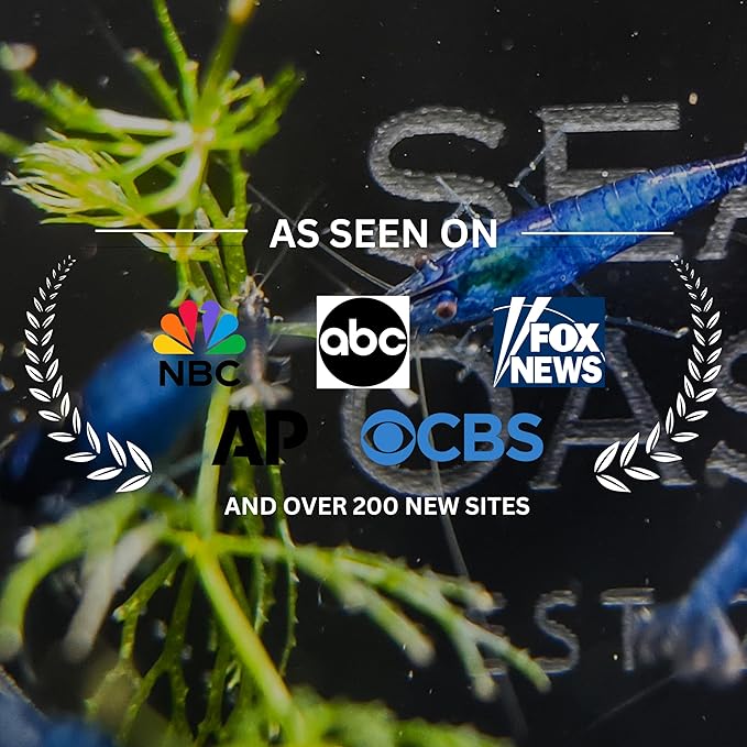 20 Blue Dream Supreme Gene Shrimps Live Freshwater Shrimp Aquarium Neocaridina, Live Arrival Guarantee