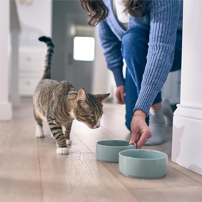 Microbiome Analysis Kit — Basic for Cats and Dogs, Powered by Purina - 4.8 oz. Box