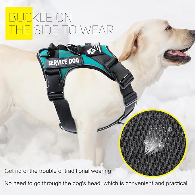 Demigreat Dog Service Harness, Reflective, Adjustable, Durable, Large, Turquoise, Solid