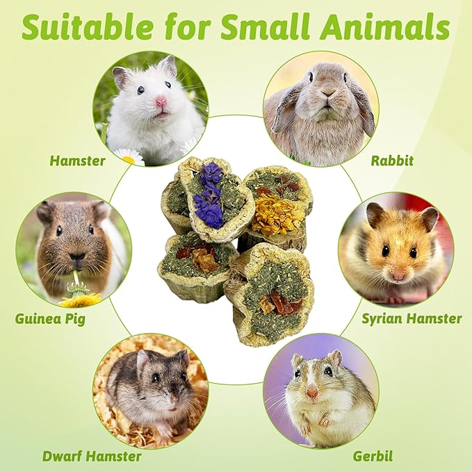 BNOSDM Hamster Chew Treats Chinchilla Natural Fruit & Vegetable Petal Mix Snacks Rabbit Papaya Toys for Teeth for Guinea Pigs Syrian Dwarf Hamsters Gerbils Mice