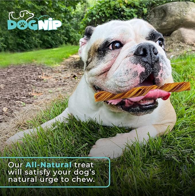 Dog Nip! 12" Tripe Twists - Crunchy Snack - Natural Grass Fed Organic Beef - Rawhide Alternative - Promotes Dental Health - Fully Digestible - Healthy Dog Treat Chews…