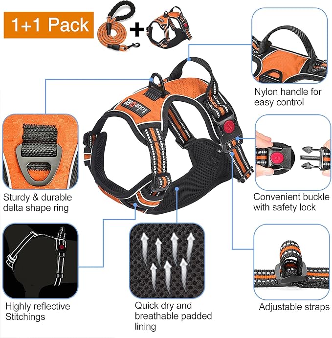 No Pull Dog Harness Adjustable Reflective Oxford Easy Control Medium Large Dog Harness with A Free Heavy Duty 5ft Dog Leash (M (Neck: 15.5"-19", Chest: 22"-25"), Orange Harness+Leash)