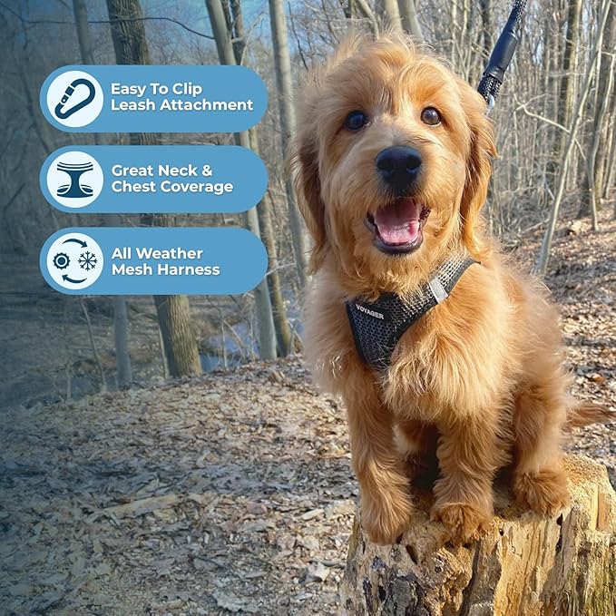 Voyager Step-in Air All Weather Mesh Harness and Reflective Dog 5 ft Leash Combo with Neoprene Handle, for Small, Medium and Large Breed Puppies by Best Pet Supplies - Gray (2-Tone), S
