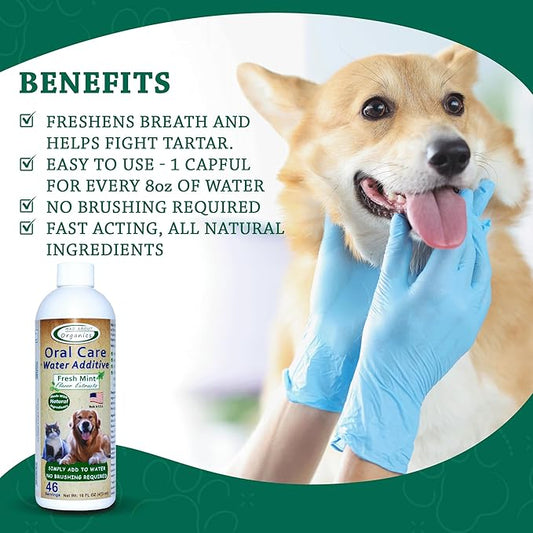 Oral Care Water Additive for Cats & Dogs – Gentle Dental Support – Reduces Breath Odors, Promotes Gum Health – No Brushing – Convenient for Daily Use, Fresh Mint Flavor, 16 FL oz