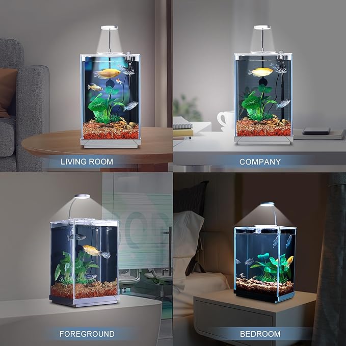 Nano Desktop Betta Fish Tank Set, 2.7 Gallon Glass Aquarium Hidden Bottom Filtration System Self Cleaning Filter Light Gravel Plant Cleaning Tool, for Small Space Easy Setup Space-Saving Design