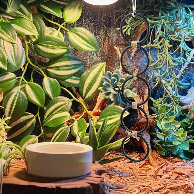 Ball Python Tank Accessories, Snake Climbing 5-Rings Enrichment Toy, Corn Snake Enclosure Accessories for Terrarium, Hanging Small Animal Activity Training Toy Reptile Swinging Habitat Decor