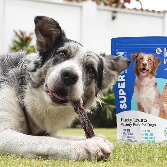Supercan Mega Mix (2lb/32oz) Bargain Bag Treats for Dogs, All-Natural Premium Hand Selected Chews for Puppy/Large/Medium/Senior Dogs, Healthy & Natural Source of Vitamin A, B6, B12, Protein SUPERFOOD