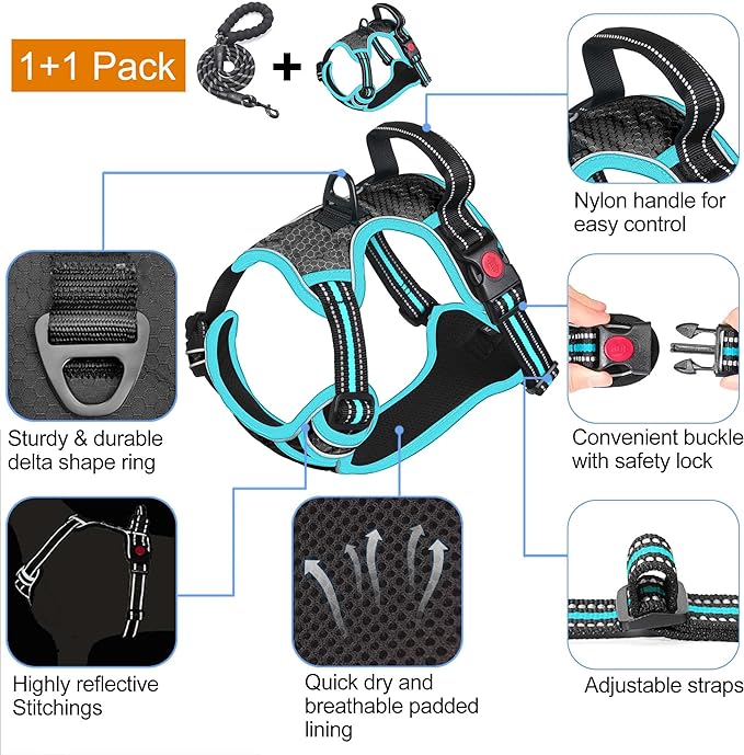 No Pull Harness with A Free Heavy Duty 5ft Leash for Medium Large Dog Adjustable Reflective Oxford Easy Control (L (Neck: 18"-25.5", Chest: 25.5"-31"), Black/Blue Harness+Leash)