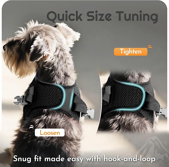 Eagloo Small Dog Harness and Leash Set, Step in Puppy Vest with Breathable Soft Mesh, Walking Reflective Pet Harness for Medium Small Dogs, Black, M