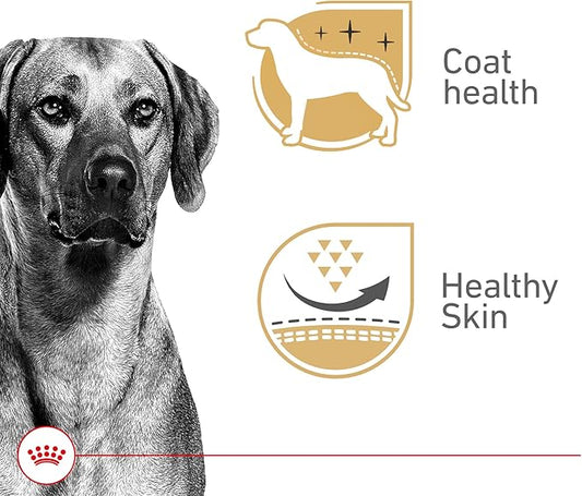 Royal Canin Canine Health Nutrition Adult In Gel Canned Dog Food, 13.5 oz can(Pack of 12)