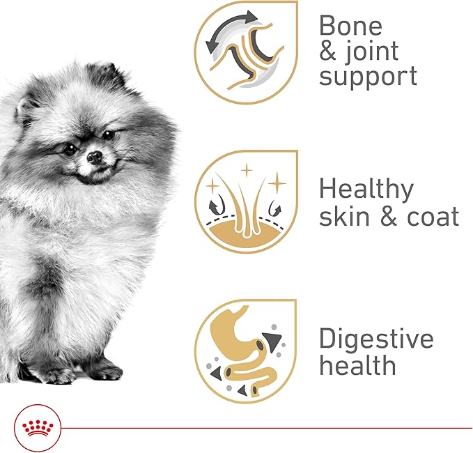 Royal Canin BHN Pomeranian Adult Dry Dog Food, 2.5 lb Bag