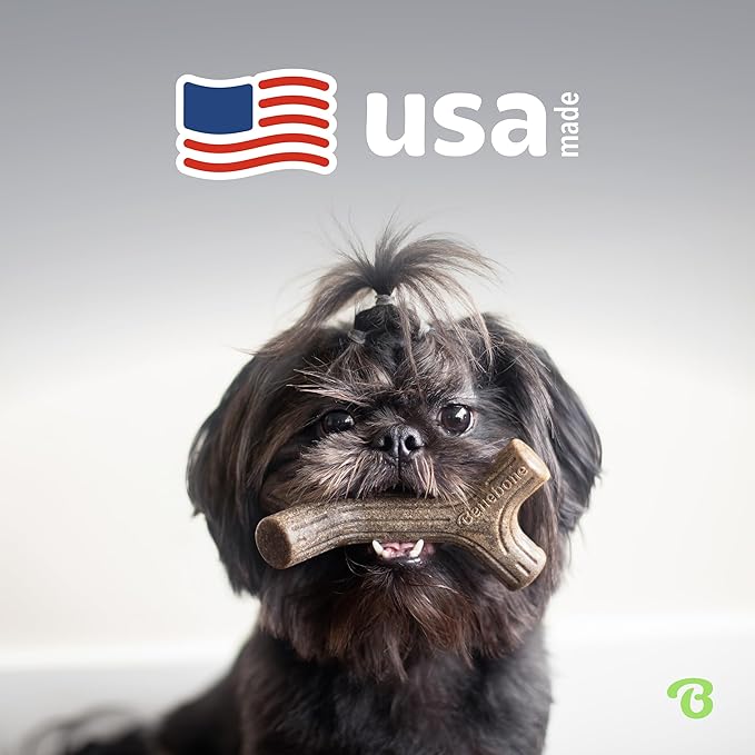 Benebone Large 4-Pack Dog Chew Toys for Aggressive Chewers, Made in USA, 90lbs and Under
