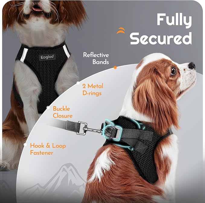 Eagloo Small Dog Harness and Leash Set, Step in Puppy Vest with Breathable Soft Mesh, Walking Reflective Pet Harness for Extra Small Dogs, Black, XXS