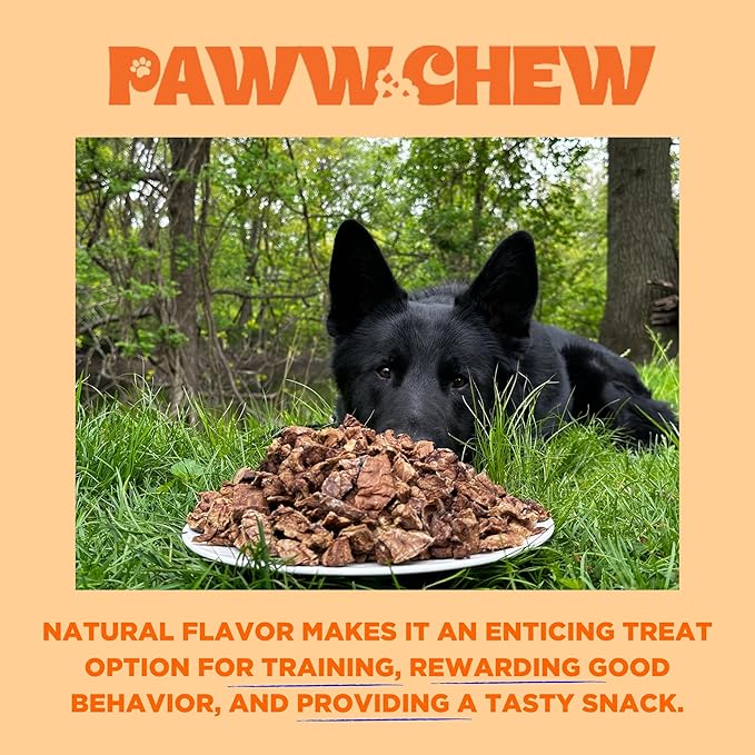 Beef Lung Dog Treats, 100% Natural, Single Ingredient, (2.5 Pound) Made in the USA, Dried & Dehydrated, High Protein, High Value Dog Training Treats, Grain Free, Low-Odor Free for All Breeds