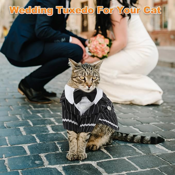 Cat Apparel, Stylish Tuxedo Outfit for Kitty with Tie, Black Stripes Pet Outfits for Wedding, Birthday, Party, Medium