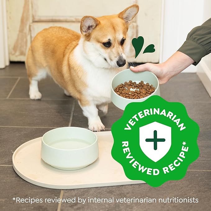 Greenies Smart Essentials Small Breed Adult High Protein Dry Dog Food Real Chicken & Rice Recipe, 27 lb. Bag