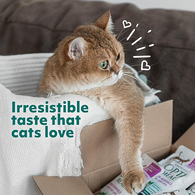 Optimeal Wet Cat Food Variety Pack - Grain Free Tender Morsels, High Protein Premium Nutrition Made with Natural European Ingredients in Savory Gravy, Adult Wet Cat Food Pouches 3oz Pouch (Pack of 12)