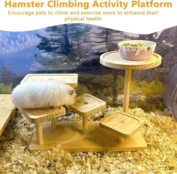 Hamster Climbing Ledge Wooden Gerbil Playground Exercise Platform Shelf for Mouse Dwarf Hamster Rat Sugar Glider