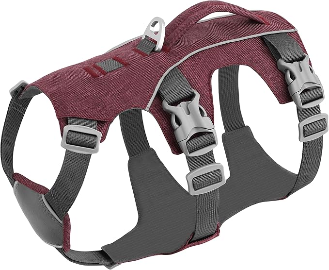 Escape Proof Dog Harness Small Sized Dog, Reflective No Pull Dog Vest with Handle, Lightweight Full Body Pet Harness Adjustable for Walking,Training(Blue,Chest:16-27")