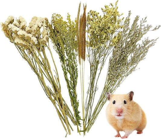 Fhiny Natural Hamster Bedding, Flower & Herb Hamster Bedding Mate Hamster Sprays Gerbil Habitat Decor Accessories for Dwarf Syrian Hamster Gerbil Mouse Mice Degus Lemming or Other Small Pets