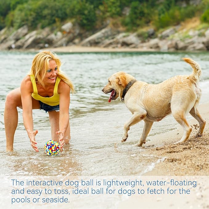 Indestructible Dog Balls - 2 Pack Dog Toys for Aggressive Chewers, Large & Medium Breed, Interactive Fetch Ball Toy for Dogs
