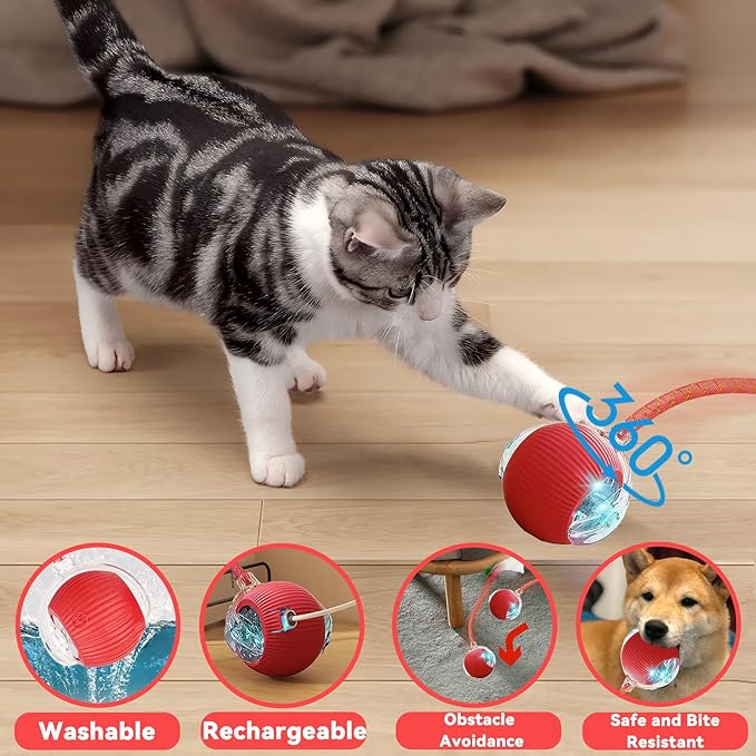 Interactive Cat Toys for Indoor Cats, Automatic Cat Toy with Elastic Mesh Tail, Electric Rolling Ball on Carpet, Chirping and Motion Activate Cat (Green)