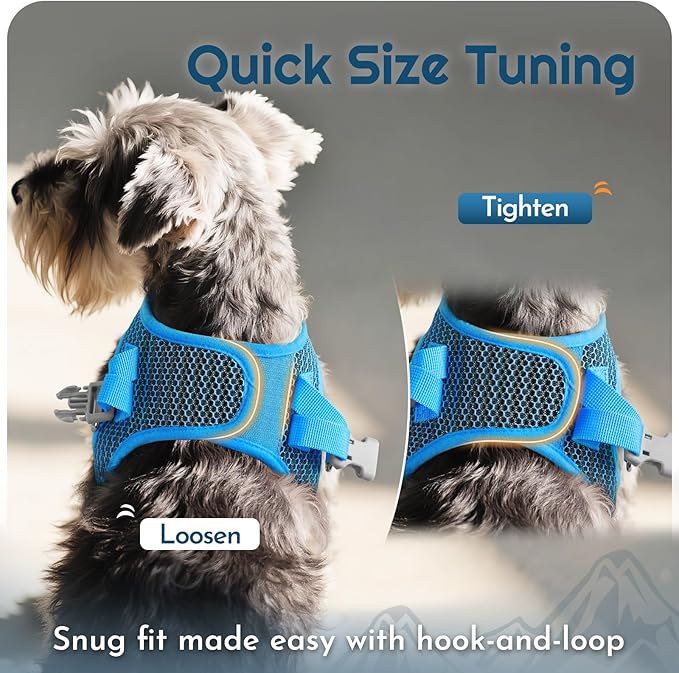 Eagloo Small Dog Harness and Leash Set, Step in Puppy Vest with Breathable Soft Mesh, Walking Reflective Pet Harness for Extra Small Dogs, Blue, XXS