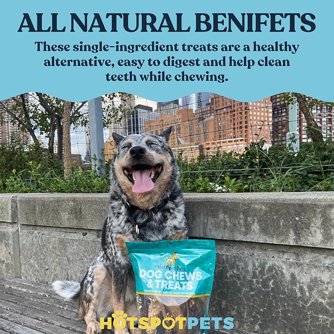 hotspot pets All-Natural Braided Beef Gullet Sticks (12 Pack) –Grass-Fed, 6'' Braided Esophagus Jerky Treats - Rich in Glucosamine & Chondroitin for Joint Health – Rawhide-Free Dog Chews