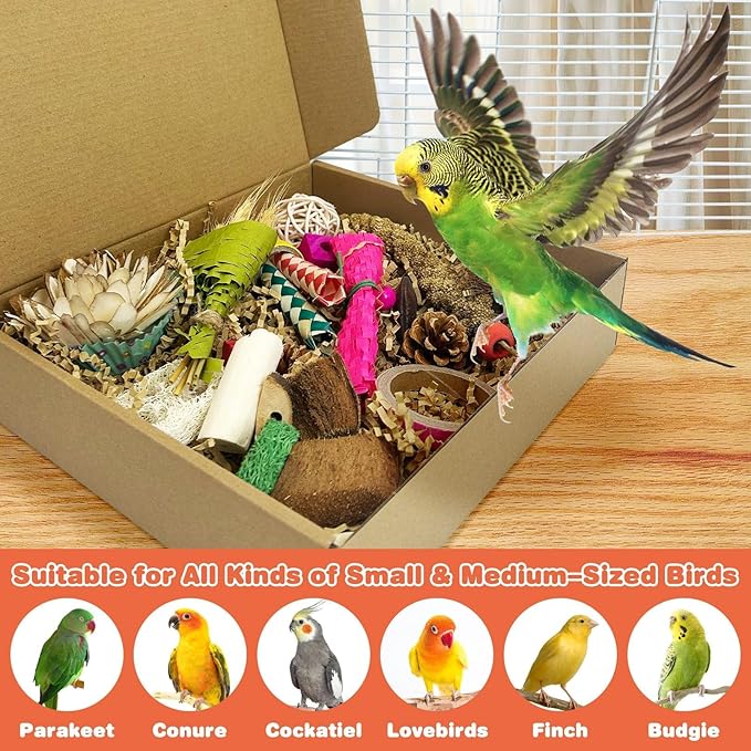 PINVNBY Natural Bird Toys Bird Foraging Box Interactive Parrot Shredding and Chewing Toy for Conure Parakeet Budgie Cockatiel Lovebird Small-Medium Birds (Large)