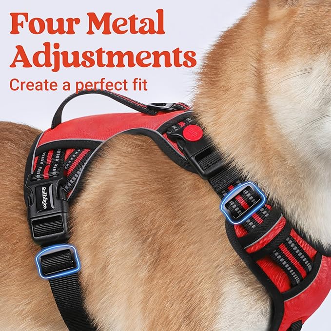 rabbitgoo Dog Harness Small Sized Dog, No Pull Pet Harness with Soft Padded Handle, Adjustable Reflective Vest with 3 Buckles, Easy Walking Harness with 2 Leash Clips, Red, S