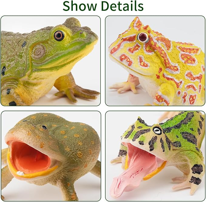 Toymany Frog Toy Figures, Plastic Rainforest Woodland Animals Toy Frogs Set with Realistic Poison Dart Frog, Cake Topper Party Favor Garden Flowerpot Plants Decor