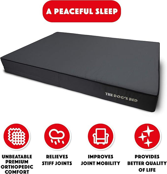 The Dog’s Bed Orthopedic Memory Foam Dog Bed, XXL Grey & Black 54x36, Waterproof, Supportive Dog Bed with Replaceable Covers, Veterinary Approved
