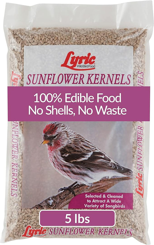 Lyric Sunflower Kernels Wild Bird Seed No Waste Bird Food Attracts Finches & More 5 lb. bag
