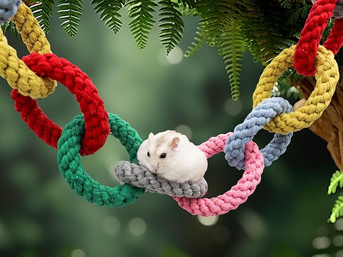 Dnoifne Sugar Glider Hanging Twelve-Ring Climbing Toys, Colorful Swing Toys, Cage Accessories for Ferret Hamster Squirrel Chinchilla Parrots