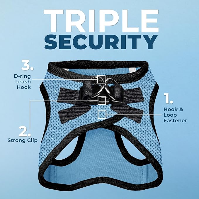 Voyager Step-in Air All Weather Mesh Harness and Reflective Dog 5 ft Leash Combo with Neoprene Handle, for Small, Medium and Large Breed Puppies by Best Pet Supplies - Baby Blue/Black Trim, X-Small