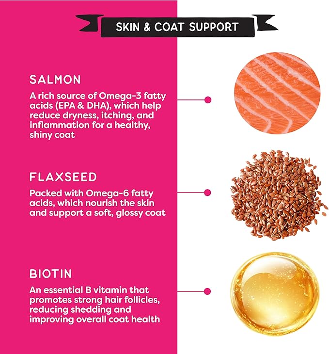 Soft Healthy Dog Treats for Skin & Coat Support Made with Omega 3, Biotin & Flaxseed - Grain Free Salmon - 16 oz