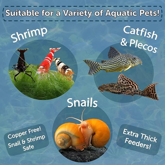 Aquatic Foods Inc. Spirulina Enriched Calcium Feeders for Shrimp, Snails, Crabs, Crayfish, Pleco, Catfish, All Tropical Fish…110 Count Med Jar