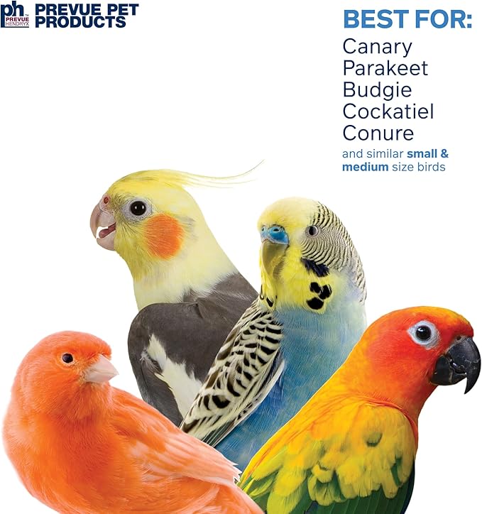 Prevue Pet Products 62636 Calypso Creations Over The Rainbow Bird Toy, Multi, Medium