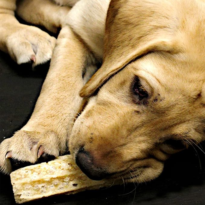 Himalayan Dog Chew Happy Teeth Yak Cheese Dog Chews Dental Chews, 100% Natural, Long Lasting, Gluten Free, Healthy & Safe Dog Treats for Oral Health, Lactose & Grain Free, Protein Rich, 2 Chews