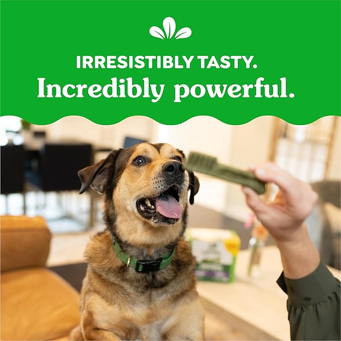 Greenies Original Large Dental Dog Treats, (4) 12 ct Packs (48 Treats Total)