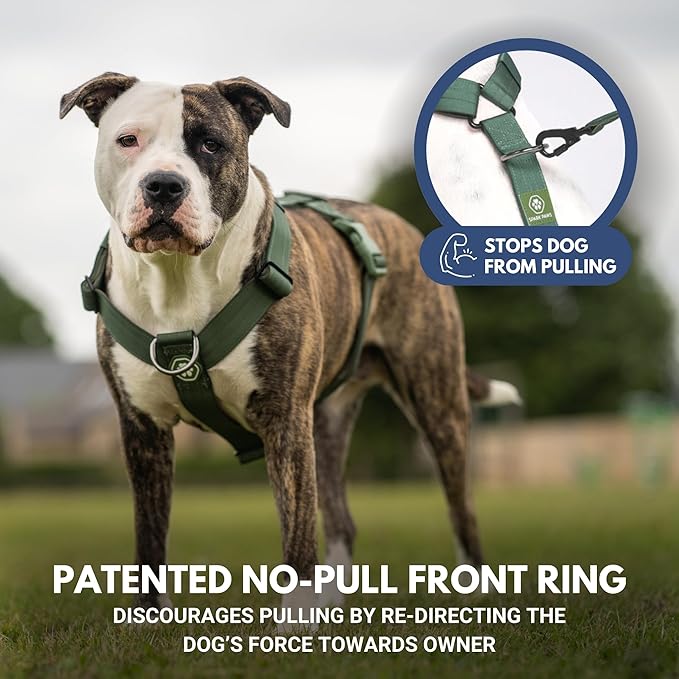 Spark Paws No Pull Dog Harness for Large Dogs, Heavy Duty Dog Harness for Big Strong Breeds, Adjustable, Y Shaped Padded Halter Design with Front Clip - Solid Green – M
