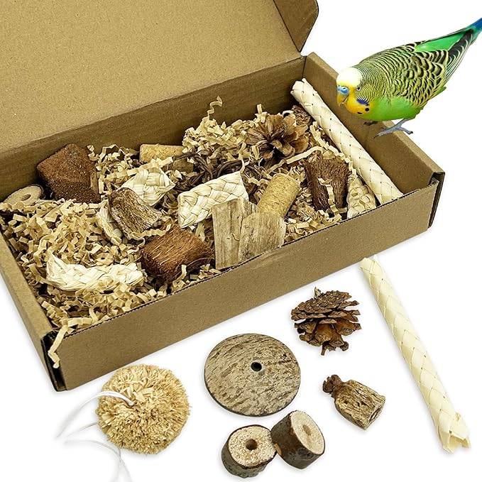 PINVNBY Natural Bird Toys Bird Foraging Box Interactive Parrot Shredding and Chewing Toy for Conure Parakeet Budgie Cockatiel Lovebird Small-Medium Birds (Medium)