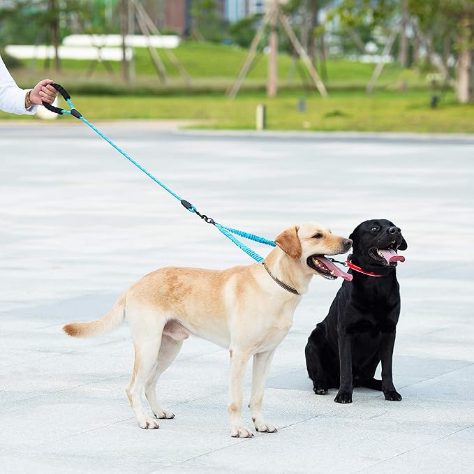 iYoShop Dual Dog Leash - 360° Swivel, No Tangle Walking Leash with Shock Absorbing Bungee for Two Dogs (Medium, 8-35 lbs, Blue)