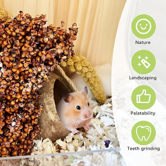 Fhiny Natural Hamster Sprays Edible Hamster Bedding Air-Dried Grain Set for Habitat Decor Mice Cage Accessories for Gerbils Lemmings Parrots Rats and Other Small Animals