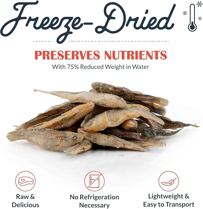 Freeze-Dried Raw Pet Treats for Dogs, Raw Minnow Chews (2.4 Oz)