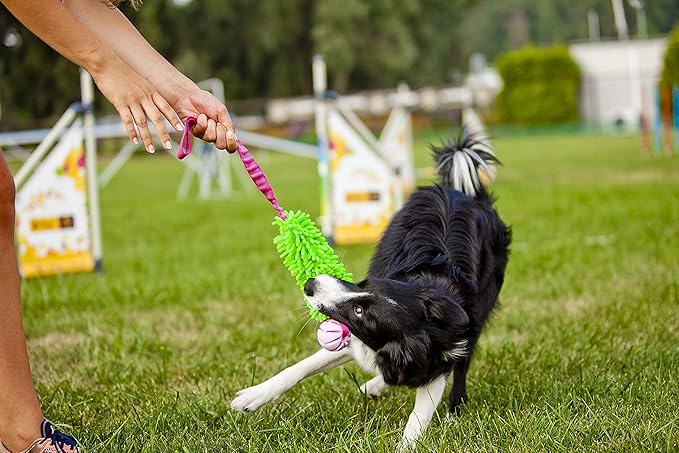 Dingo Dog tug of war toy for outdoor play traning agility,cuddly and shaggy plush tug toy for motivation and fun, soft nubby-textured noodle plush with bungee shock absorber and rubber ball green15589