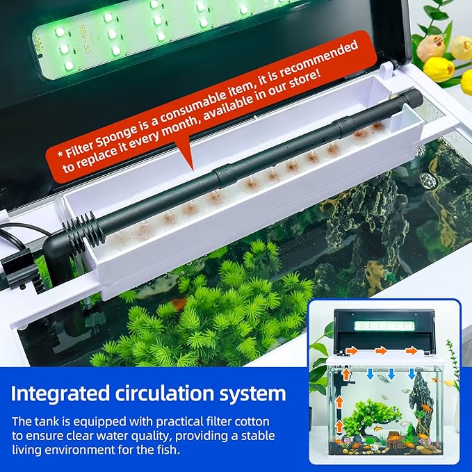 3 Gallon Fish Tank Starter Kit with 7-Color LED, Filter & Oxygenation System – High-Clarity Betta & Goldfish Aquarium