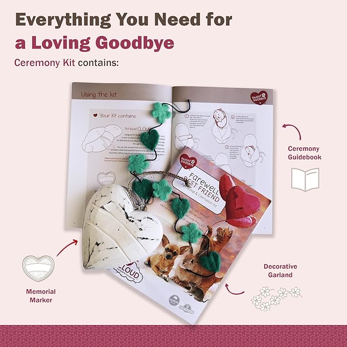 Cloud® Eco-Friendly Pet Burial & Cremation Ceremony Kit - Casket for Smaller Pets: Rabbits, Hamsters, Gerbils, Birds, Fish, Reptiles, Small Cats (Choose Size & Color)(Large, Teal Green)