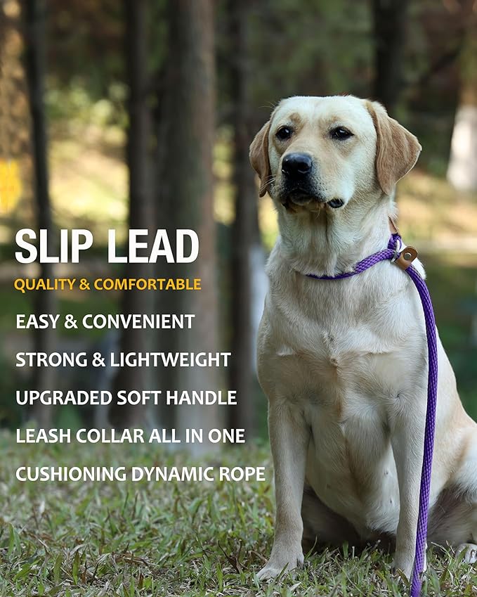 lynxking Slip Lead Dog Leash, 6 FT x 1/2" Heavy Duty Dog Loop Leashes, Comfortable Strong Rope Slip Leash for Dogs